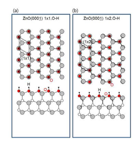 ZnO(000-1) 수소가 흡착된 (a) (1x1) O-H, (b) (1x2) O-H 재구조의 표면원자 구조