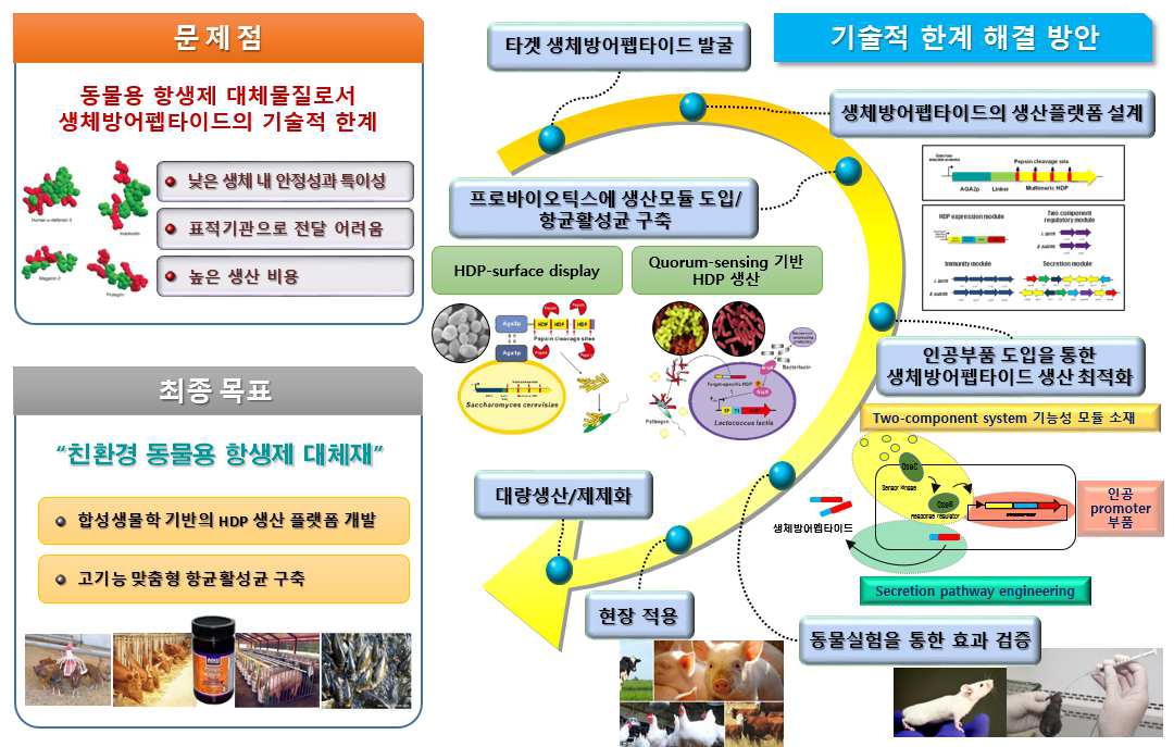 지능형 항균활성균 연구 전략