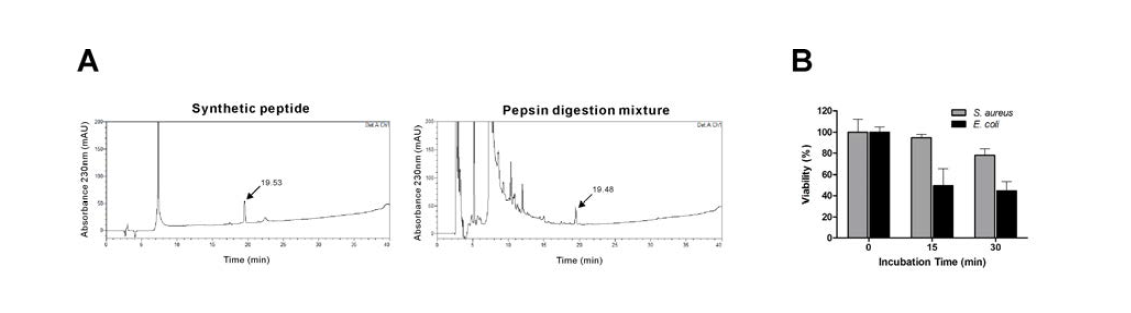 Pepsin digestion mixture의 HPLC 분석(A) 및 분리·정제된 생체방어펩타이드의 항균력 검증(B)