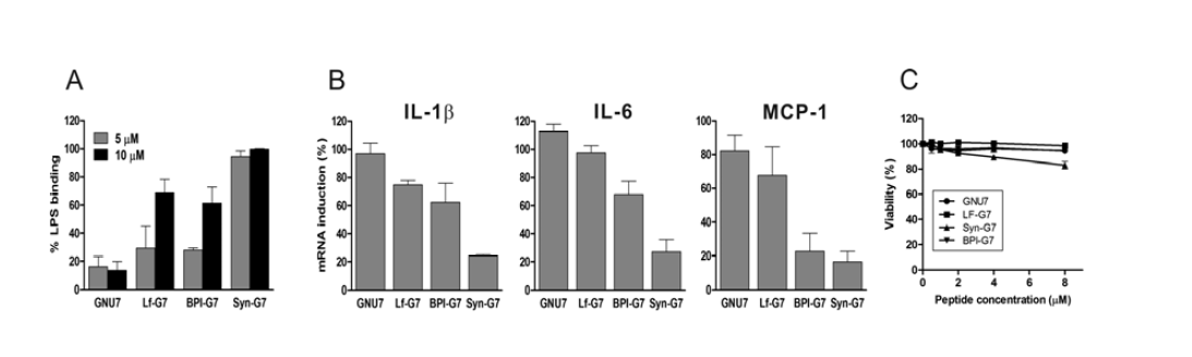 융합펩타이드의 LPS binding activity, 항염증 활성, 동물세포 독성 확인