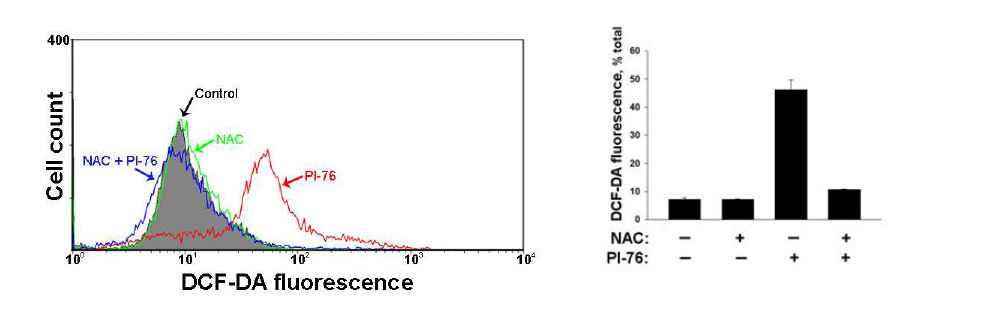 PI-76에 의한 활성산소축적이 NAC에 의해 억제되는 효과
