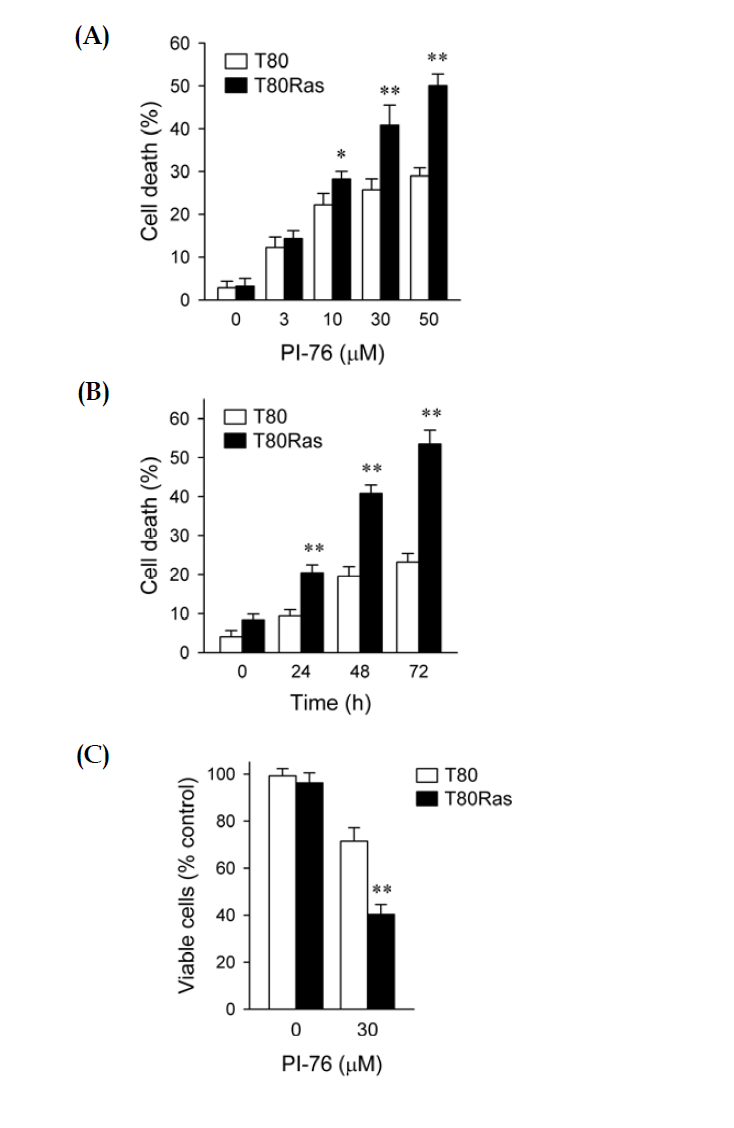 Effects of PI-76 on the preferential induction of cell death in H-RasV12-transformed cells. (A) Concentration-dependent effect of PI-76 on cell death. T80 and T80Ras cells were cultured with the indicated concentrations of PI-76 for 72 hr. (B) Time-dependent effect of PI-76 on cell death. T80 and T80Ras cells were treated with 30 μM PI-76 for the indicated times. Cell death was analyzed by flow cytometry using FITC-conjugated annexin V and propidium iodide. Cell death was calculated as the percentage of annexin V- or propidium iodide-positive cells. (C) Inhibition of cell proliferation by PI-76 in T80 and T80Ras cells. Cell growth inhibition was measured by long-term WST-1 assay. Data were expressed as means ± SD of three independent experiments. *: p < 0.05; **: p < 0.01 compared to that of T80 cells