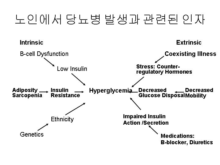 노인 당뇨병 발병인자