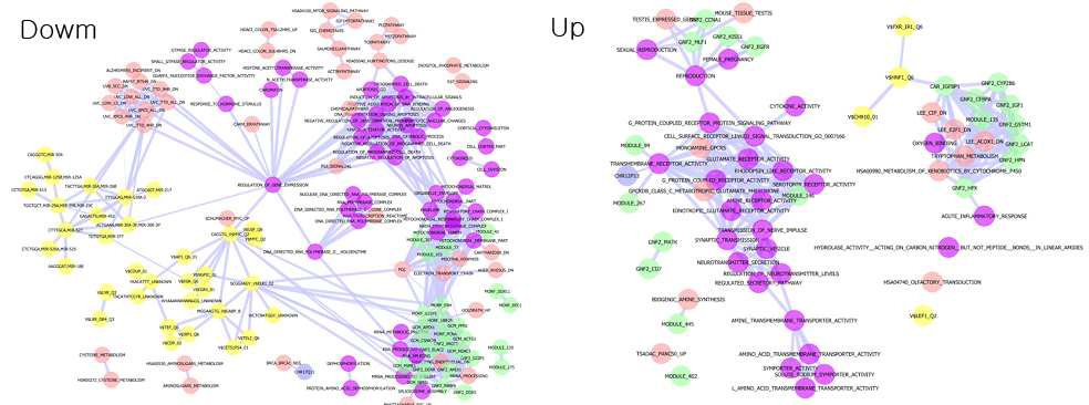 당뇨 환자의 근육에서 감소(좌)/증가(우)한 Gene Set network. meta ES, P value < 0.05