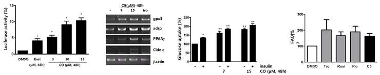 베트남 식물(Cleistocalyx operculatus)유래 단일 화합물 C5에 의한 PPARɣ activity증가, GPx3발현의 증가, glucose uptake 증가와 지방산 산화 촉진 효과