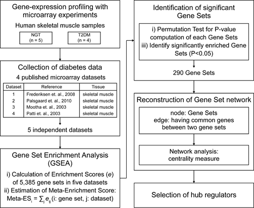 The overall scheme of an integrative analysis to identify core gene sets and key regulators associated with insulin resistance in skeletal muscles.
