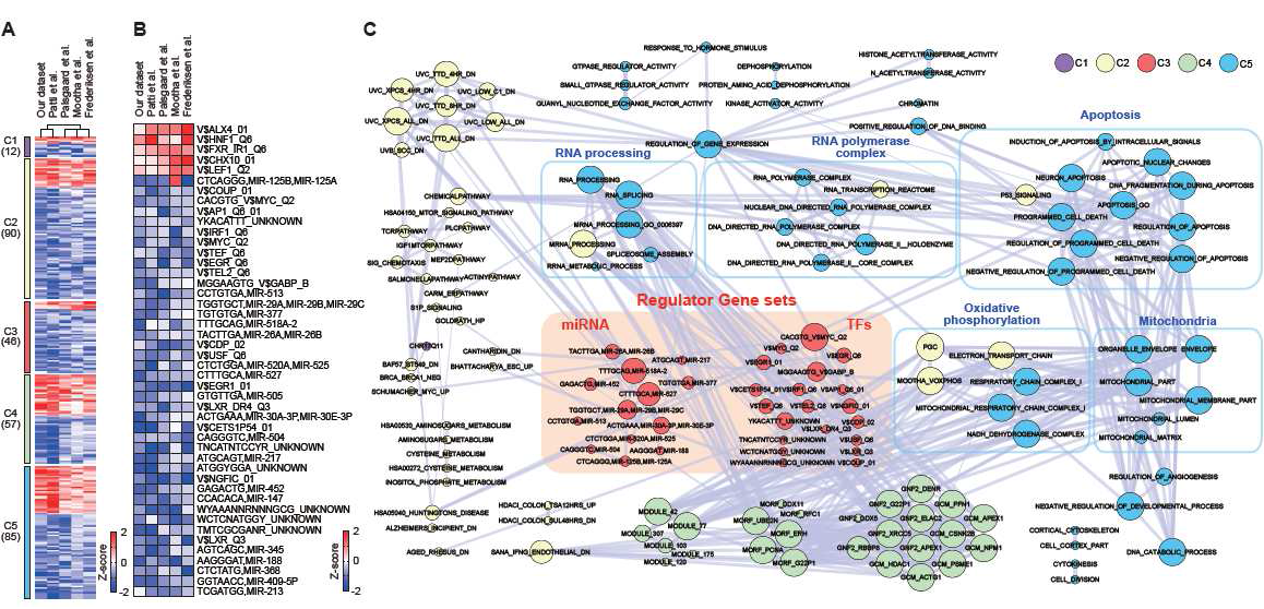 Identification of key regulators of insulin resistance in skeletal muscle using integrative analysis of five gene expression datasets.