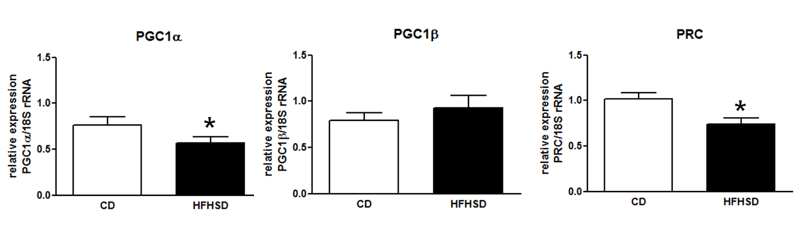 Among the PGC families, PGC1α and PRC is significantly reduced in skeletal muscle of DIO rodent model but PGC1β does not change.