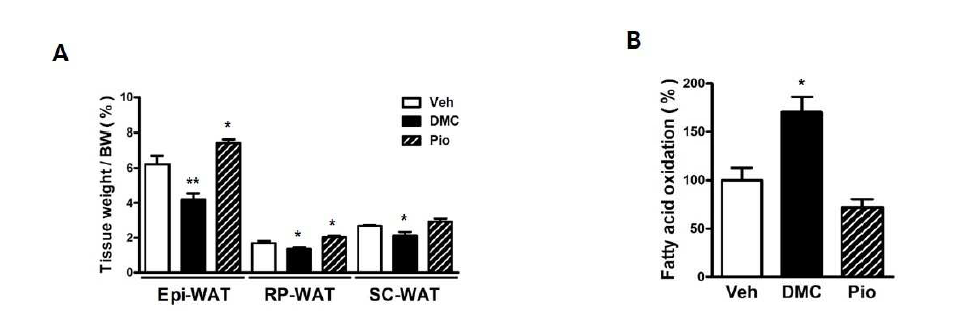 지방 조직 무게 (A), fatty acid oxidation (B)