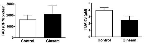 Fatty Acid Oxidation 과 Reactive oxygen species