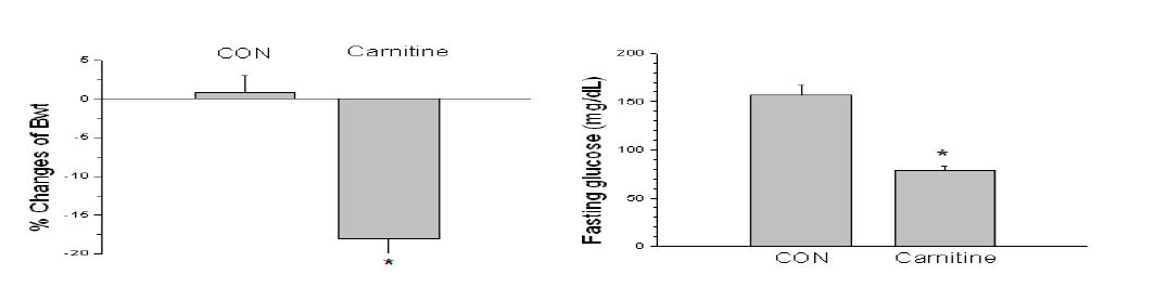 노화당뇨병 마우스 모델에서 L-Carnitine 투여가 체중 및 혈당에 미치는 효과