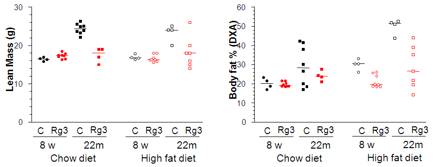 Rg3 투여가 체지방률 및 제지방량에 미치는 영향