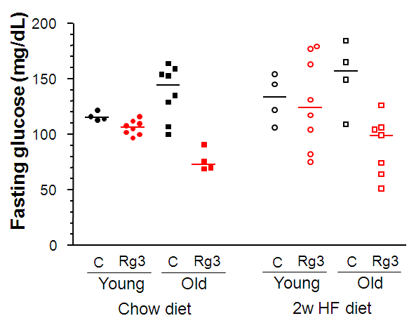 young, old mouse에서 Rg3 투여가 공복혈당에 미치는 영향