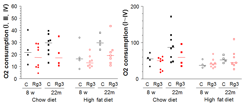 Rg3 투여에 따른 근육 미토콘드리아의 산소소모율(OROBOROS)