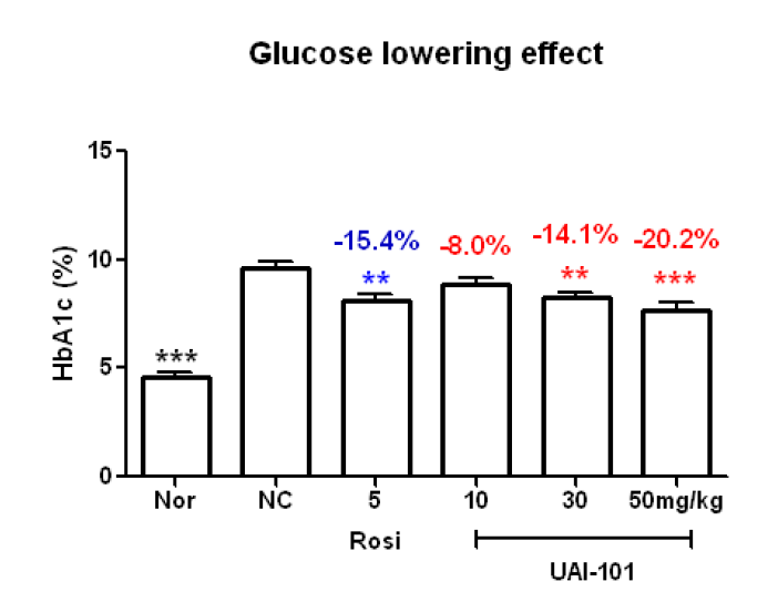 KKAy mouse model에서 UAI-101의 당화혈색소 변화