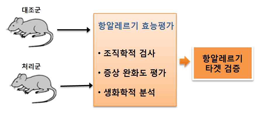 동물모델에서 TCTP의 타겟 검증