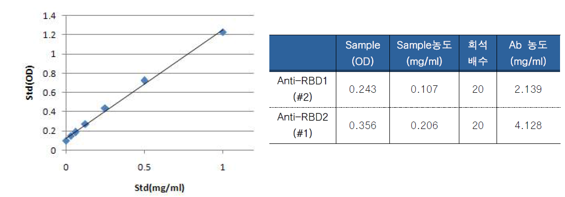 Affinity chromatography 정제 후 IgG 항체의 정량 결과