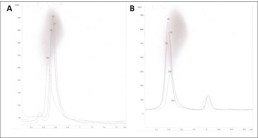 혈청 중 (A)RBD1, (B)RBD2 펩타이드의 HPLC peak