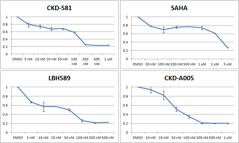 새롭게 개발된 Deacetylase inhibitor인 CKD-581, LBH589, CKD-A005에 대한 MEFs의 반응성 테스트 수행