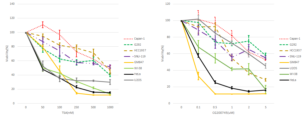 TSA(왼쪽) 와 CG200745 (오른쪽) 에 대한 cell viability assay 결과. 실선으로 표시된 세포들은 BRCA2 정상, 점선으로 표시된 세포들은 BRCA2 결손 세포임. TSA에서 유의미하게 BRCA2 결손 세포들이 정상세포에 비해 저항성을 보임