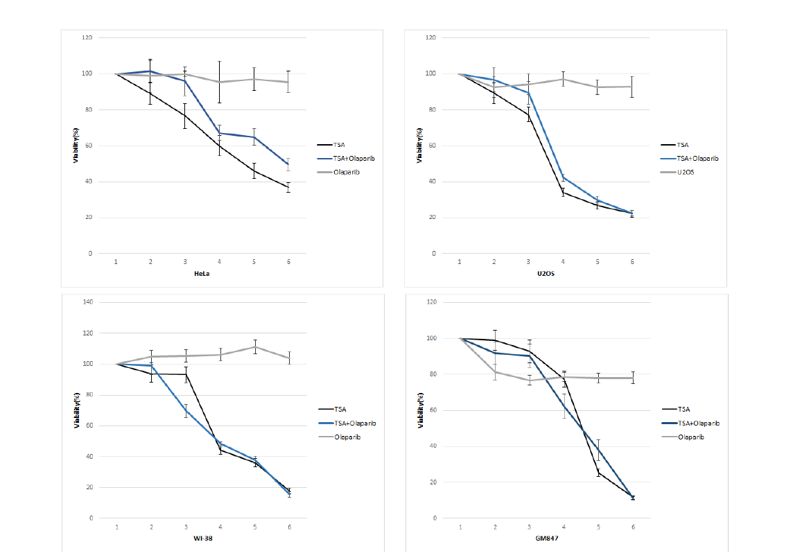 BRCA2 정상세포들에서 TSA와 Olaparib combination MTT assay 결과. TSA와 Olaparib을 combination 하였을 때 전반적으로 TSA 민감도를 따른 경향이 보임
