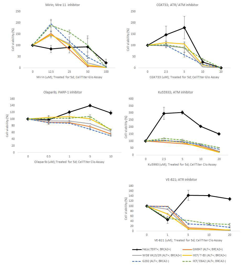 암세포주에 5종류의 inhibitor를 농도별로 처리하고 5일이 지난 후 luciferase assay를 통하여 세포의 viability를 측정함