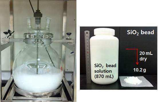 scale-up 합성을 위한 반응기 (좌)와 이로부터 합성한 실리카 모체 (우).