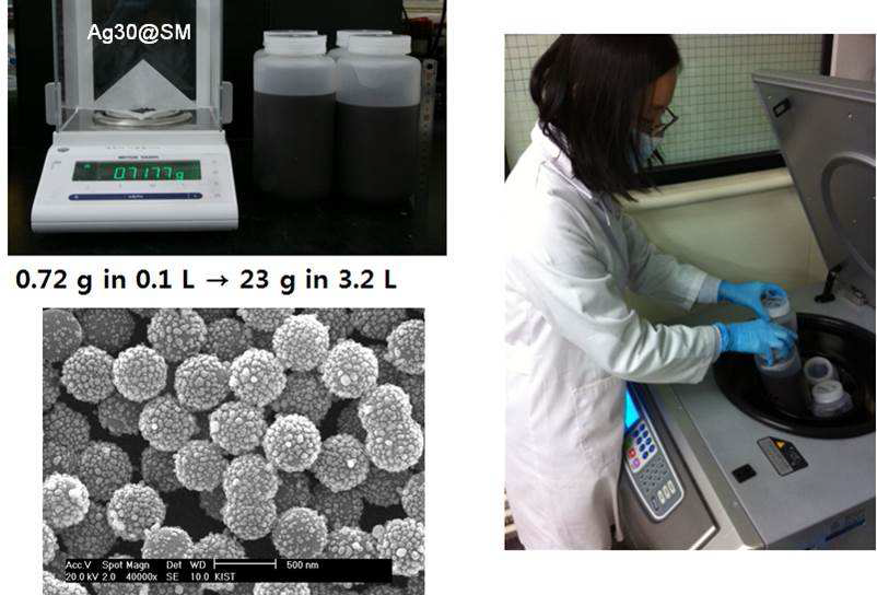 최종 합성한 실리카-Ag 나노복합체 (1회 반응에서 23 g/batch 은나노복합체 합성).