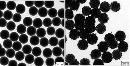 그림 18에서 scale-up 합성한 실리카 모체(좌)와 실리카-Ag 나노복합체(우)의 TEM 이미지. 우측 이미지에서 400 nm 크기의 실리카 모체 위에 균일하게 분포 하면서 결합되어 있는 평균 30 nm 크기의 은 나노입자를 관찰할 수 있음.