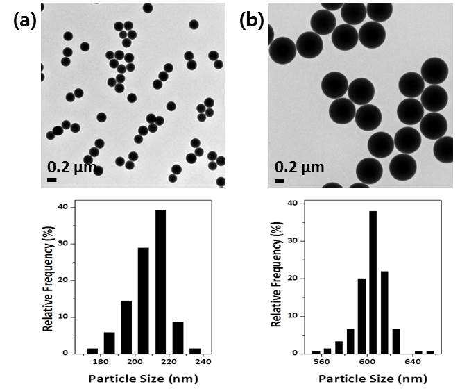 St?ber 방법에 의한 성장 및 표면개질 과정을 거쳐 합성한 크기가 서로 다른 실리카 구의 TEM 이미지와 크기 분포도: (a) 231 ± 15 nm 크기 (b) 605 ± 13 nm 크기.