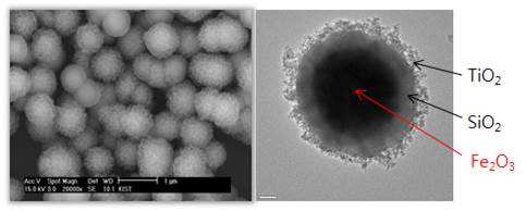 자성 SiO2/TiO2 나노복합체의 SEM 및 TEM 이미지.