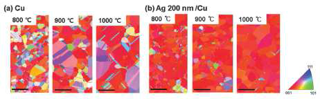 합성온도 및 촉매 처리에 따른 EBSD 방향성 mapping