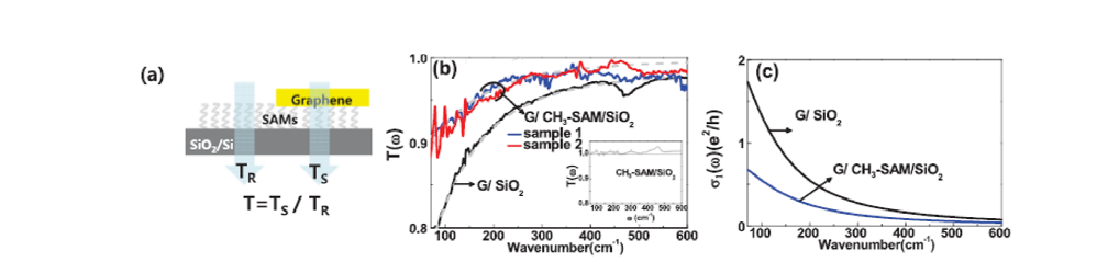 (a) SAM 처리된 그래핀 샘플의 적외선 투과 측정의 모식도, (b)pristine 그래핀 및 CH3-SAM 처리된 그래핀의 T(ω), (c) Drude 모델을 통해 분석한 그래핀의 광학 전도도