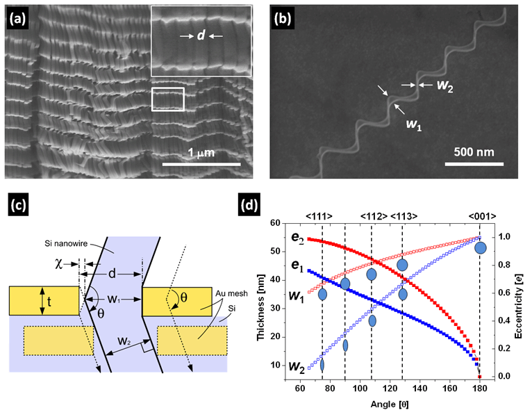 (a) zigzag SiNWs 어레이의 SEM 이미지. (b) 단일 zigzag SiNW의 SEM 이 미지. (c) 금속/실리콘 계면(etching front)의 개략도와 금속박막 및 나노선의 기하학적 구조 를 정의하는 변수들; t=금속박막의 두께, d =나노홀 직경, 􌪃=금속촉매박막의 이동경로 변경 으로 형성된 각도 (dashed arrow), χ=t/2tan(􌪃/2), w 1=d -χ, w 2=(d -2χ) w 1sin(􌪃/2). (d) 굴절각 도(􌪃)와 나노선 두께 ( w n) 및 절단면 이심률 (eccenticity e n= [1-( w n/d )2]1/2 with n = 1, 2; 0<e n<1)간의 상관관계를 보여주는 그래프.