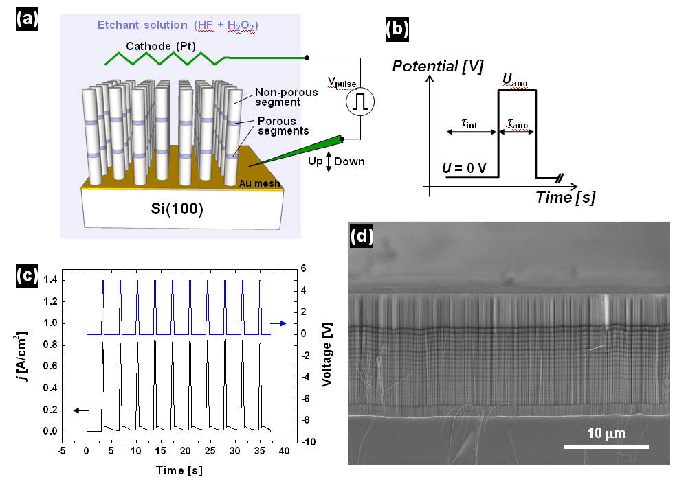 (a) porosity modulated SiNWs 제조를 위한 전기화학적 set-up, (b) 가해주는 양극펄스 (anodic pulse)의 개략도, (c) 시간에 따른 양극펄스와 전류밀도의 상관관계를 보여 주는 그래프, (d) 실험을 통해서 얻어지는 porosity modulated SiNWs의 일반적 SEM 이미 지.