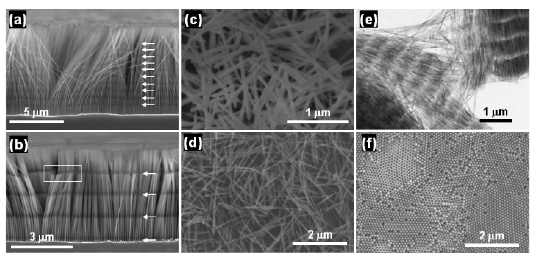 (a,b) 양극 펄스를 가해 얻어진 porosity modulated SiNWs의 SEM 이미지, (c,d) 시료 (a,b)를 초음파 처리하여 다공성 마디에서의 절단을 유도하여 얻어진 길이가 제 어된 SiNWs의 SEM 이미지, (e) 다공성 마디 부분이 기계적으로 약함을 보여주는 TEM 이 미지, (f) 초음파 처리를 통해 SiNWs을 분리 해낸 후 남은 실리콘 기판 표면 SEM 이미지.