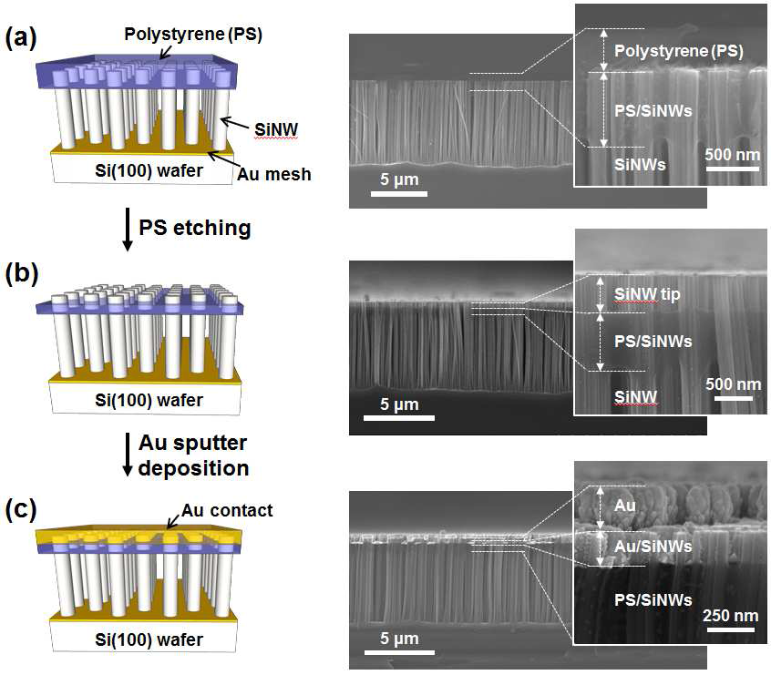 수직정렬 나노선의 상부에 전극을 형성하는 공정의 개략도 (왼쪽)와 각 단 계에 해당하는 SEM 사진 (오른쪽).