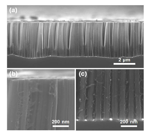 폴리스티렌이 박막층이 유리전이온도 이상에서 수직정렬된 실리콘 나노선 어레이의 바닥까지 스며들어 채우고 있는 시료의 단면을 보여주는 SEM 사진.