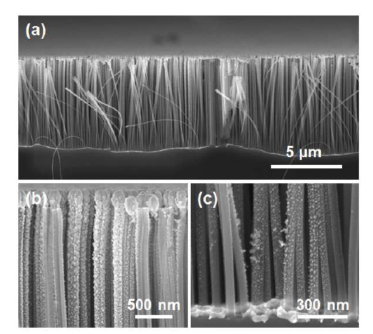 금속 물질이 폴리스티렌 박막층이 없이 수직 정렬된 실리콘 나노선 어레이 위로 직접 증착된 시료의 단면을 보여주는 SEM 사진.