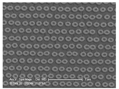나노 튜브 구조 제작 과정에서 생기는 금 나노링 구조 어레이