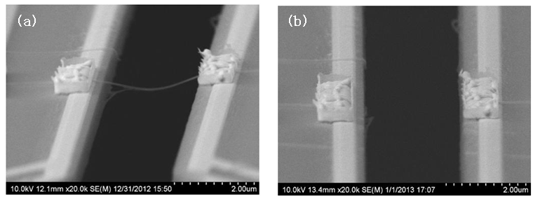실리콘 나노선 끊기 전후의 모습 (a) 1차 측정 후 나노선이 연결되어있는 상태, (b) AFM을 이용해 나노선을 끊은 상태