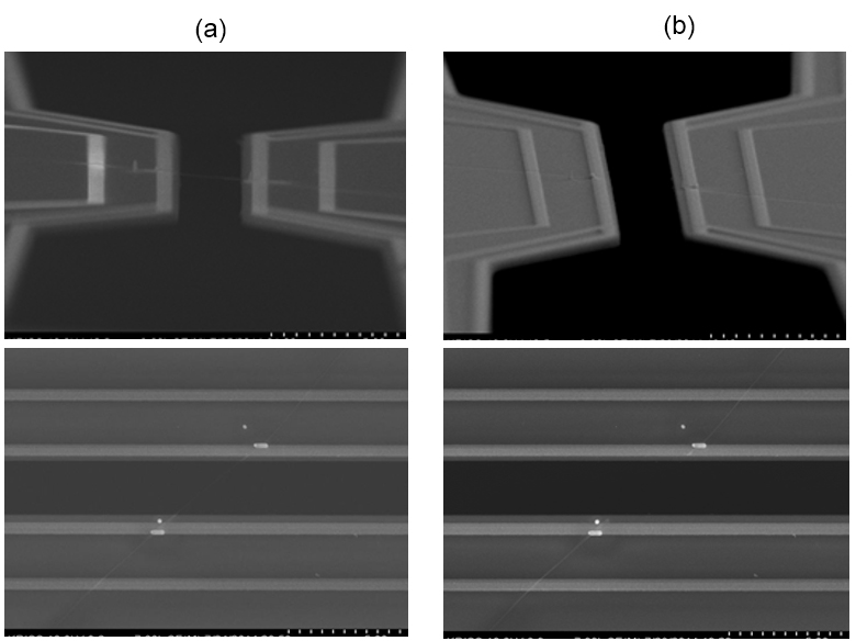 하향식 에칭된 Si 나노선(smooth surface)의 열전도도 측정을 위해 나노선을 (a) 제거하기 전과 (b) 제거한 후의 SEM 이미지