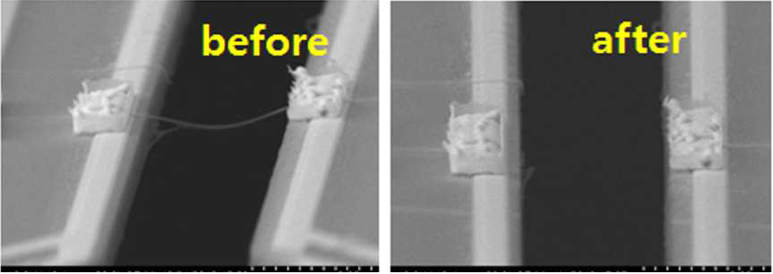 나노선의 열전도도를 측정하기 위해 AFM tip으로 나노선을 절단하기 전과 후 의 SEM 이미지.
