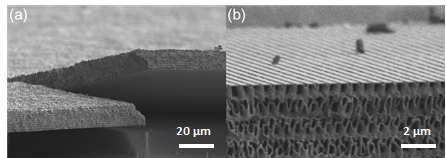 배율에 따른 AZO (72 nm layer 두께) 박막의 SEM 이미지.