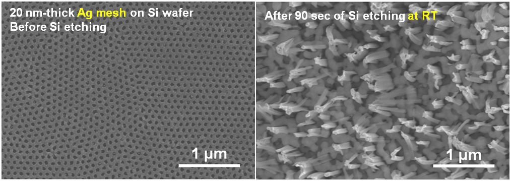 Si 기판상에 패터닝된 Ag 박막을 촉매로하여 기판을 에칭하는 경우 촉매박막의 oxidative dissolution에 의해 불균일한 Si 나노선이 얻어짐을 보여주는 주사전자현미경 (SEM) 사진.