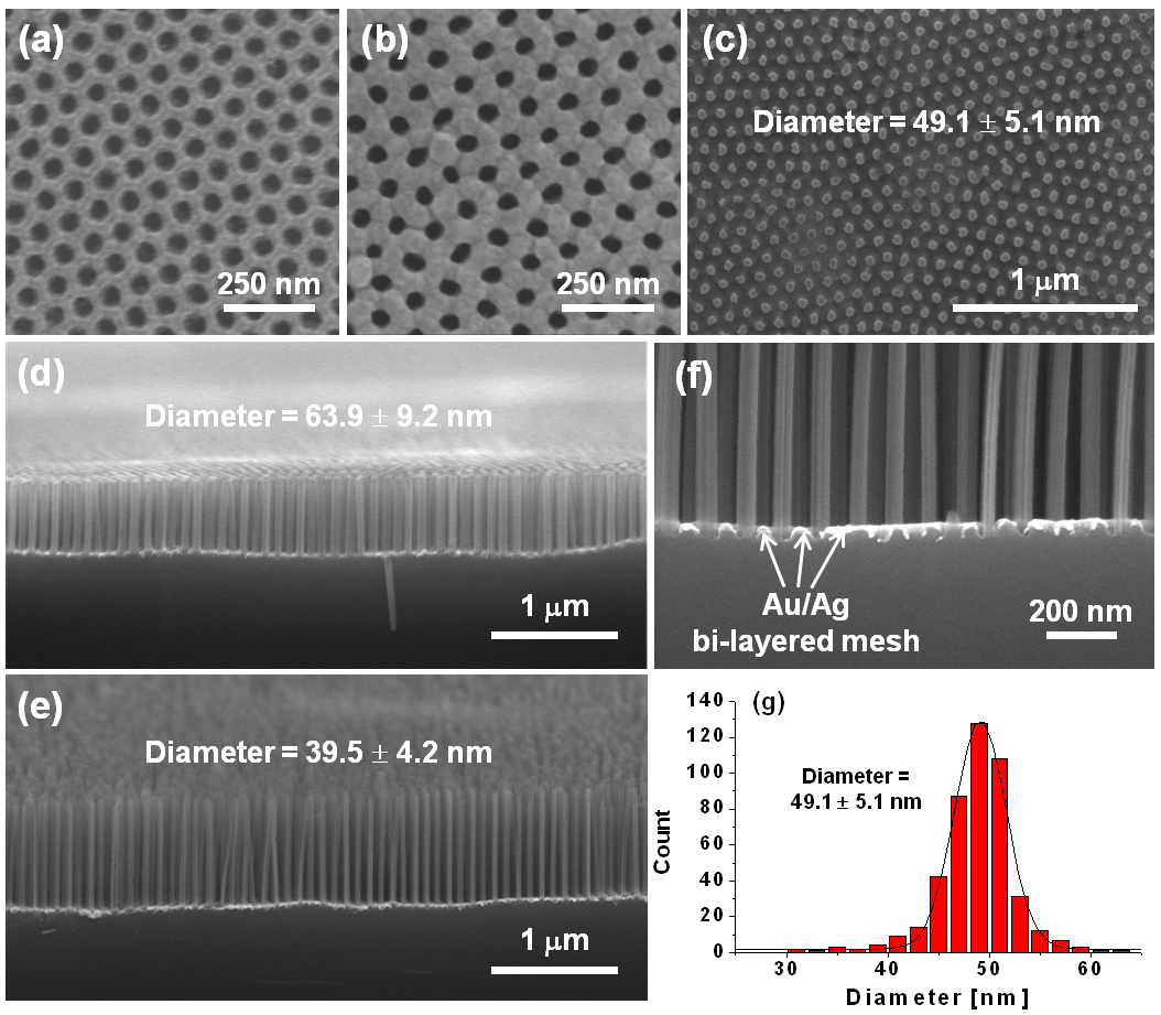(a) Au/Ag 이중층 금속박막 제작에 사용된 다공성 알루미나의 SEM 사진, (b) Au/Ag 이중층 금속박막의 SEM 사진, (c) Au/Ag 이중층 금속박막을 에칭촉매로 사용하여 제작된 SiNWs 어레이의 표면 SEM 사진, (d-e) 직경이 서로 다른 SiNW 어레이의 시료의 절단면 SEM 사진, (f) Au/Ag 금속박막과 Si기판 접합부 (etching front)의 SEM 사진, (g) 그림(b)에 제시된 SiNWs의 직경분포를 보여주는 히스토그램.