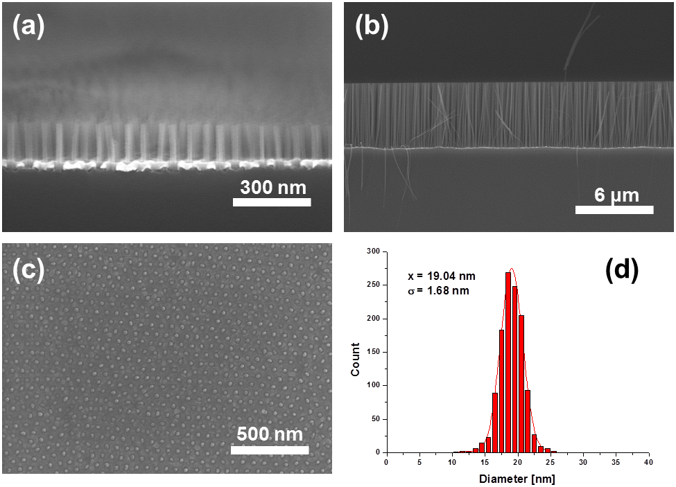 (a,b) 직경 20 nm의 실리콘 나노선 어레이 시료의 절단면 SEM 사진과 (c) 평면 SEM 사진. (d) (c)에 제시된 실리콘 나노선의 직경분포를 보여주는 히스토그램.
