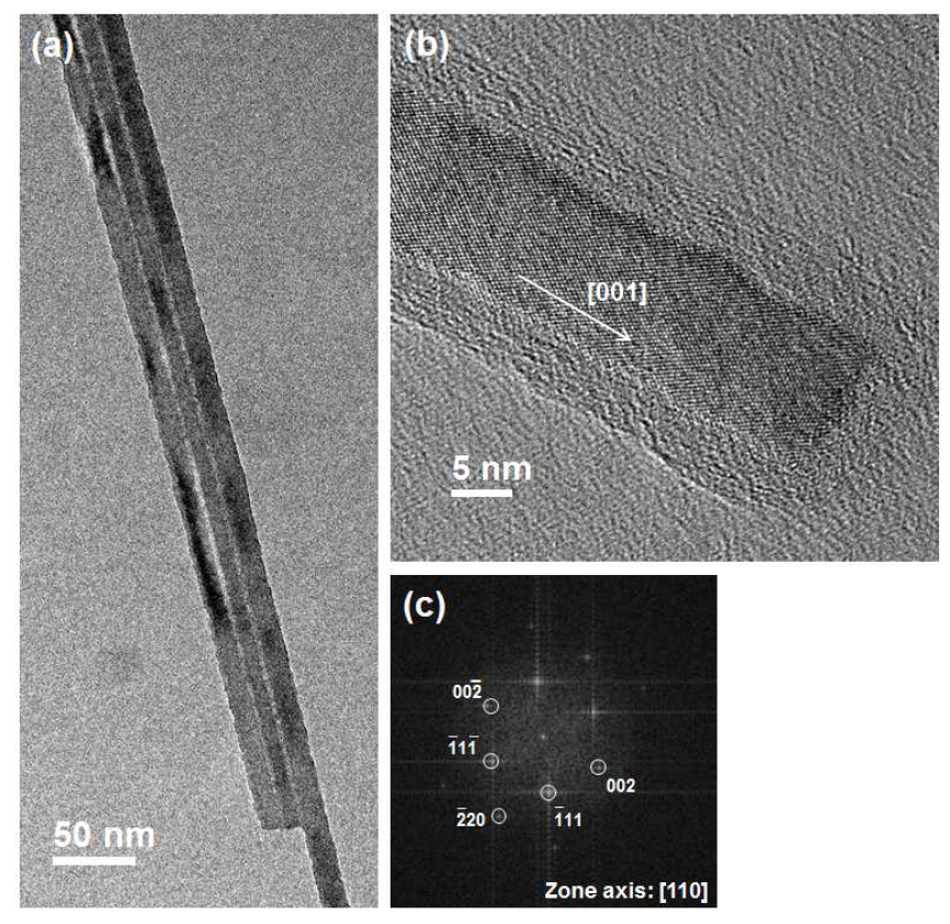 (a) 수직정렬 실리콘 나노선 어레이 시료로부터 채취하여 얻은 세 가닥의 나노선 TEM 사진, (b) (a)의 단일 나노선으로부터 얻어진 HRTEM 사진, (c) (b)의 사 진으로부터 얻어진 FFT 이미지.