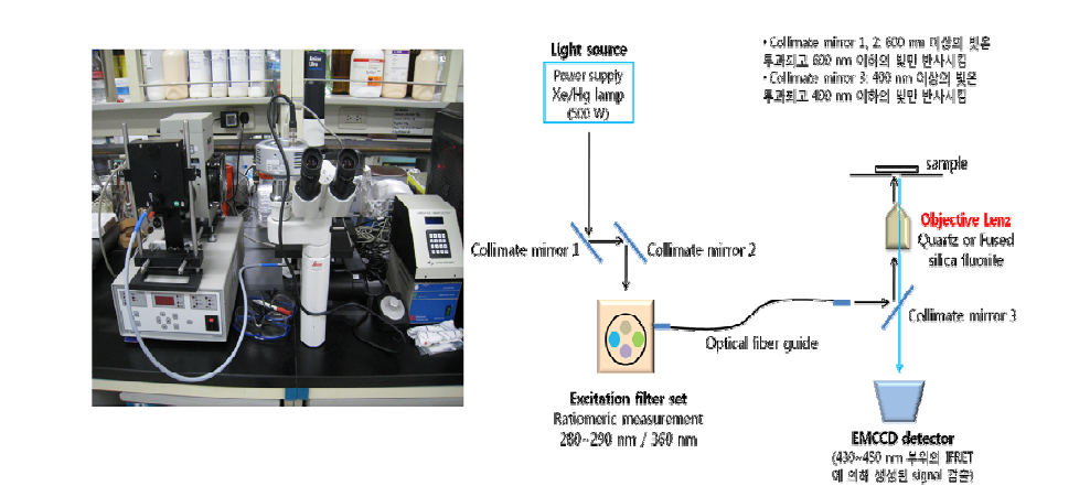 iFRET 이미징을 위한 현미경의 기본구조