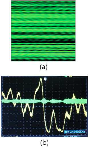 (a) 균일하게 스프레딩된 발삼오일박막에서 얻어진 광유도 열 화상이미지, (b) PMT에서 얻어진 간섭신호(노란색)와 하이패스틸터된 신호(녹색)의 오실로스코프 측정데 이터